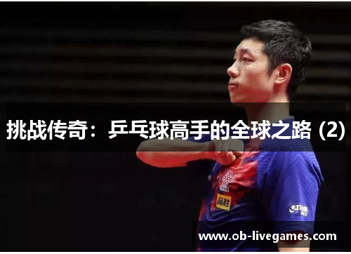 挑战传奇：乒乓球高手的全球之路 (2)