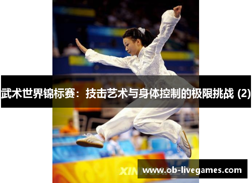 武术世界锦标赛：技击艺术与身体控制的极限挑战 (2)